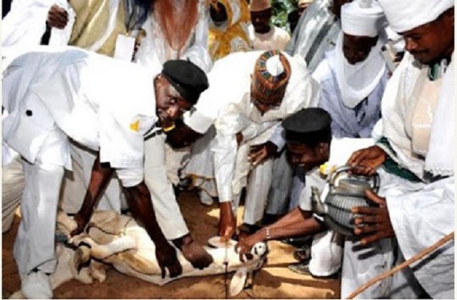 More Photos Of President Buhari As He Slaughters His Sallah Ram