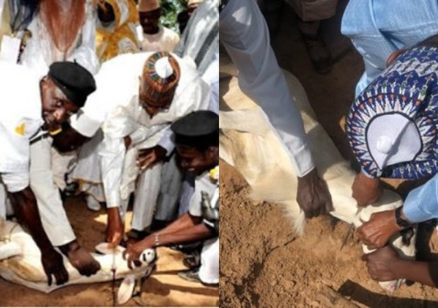 More Photos Of President Buhari As He Slaughters His Sallah Ram