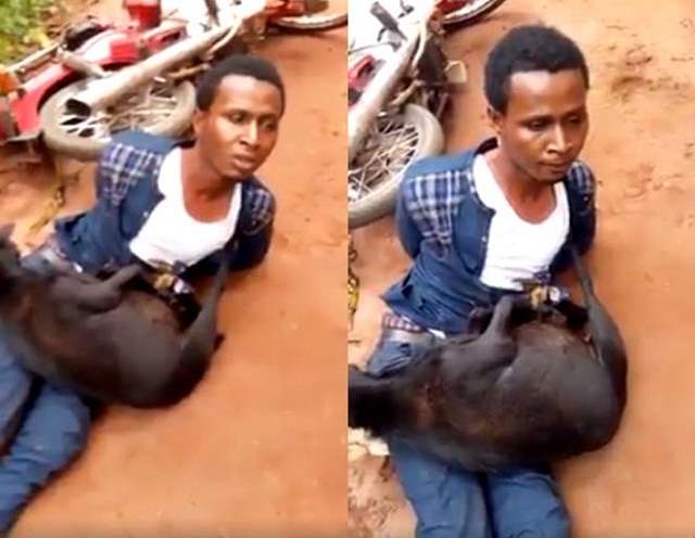 END TIME: Pastor Publicly Disgraced after Being Caught Stealing Goat in Anambra State [photo]