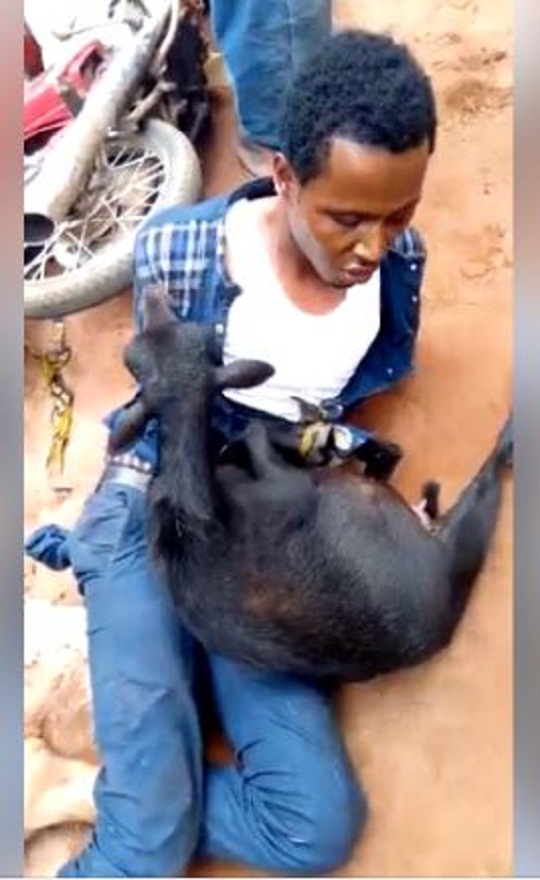 END TIME: Pastor Publicly Disgraced after Being Caught Stealing Goat in Anambra State [photo]