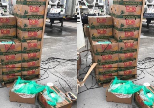 Cocaine worth $17m Found In Boxes of Bananas Donated To Texas Prison