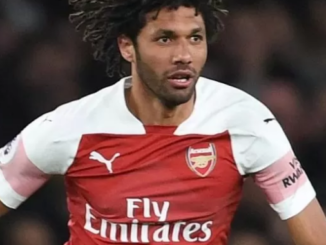 Mohamed Elneny