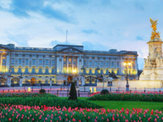 Intruder Breaks into Buckingham Palace While Queen Elizabeth Was Around