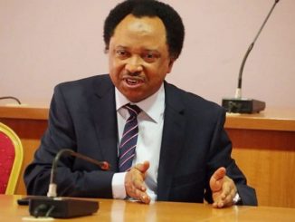 “Heavy fine should be imposed on citizens who collected PVC but refused to vote” — Shehu Sani