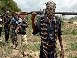 Unknown Gunmen attack Emir of Birnin Gwari