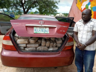 Dismissed NDLEA Official Arrested With 254kg of Weed in Niger State