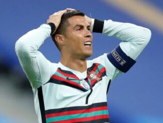 Dutch Referee, Danny Makkelie Apologises for Disallowing Ronaldo’s Goal against Serbia