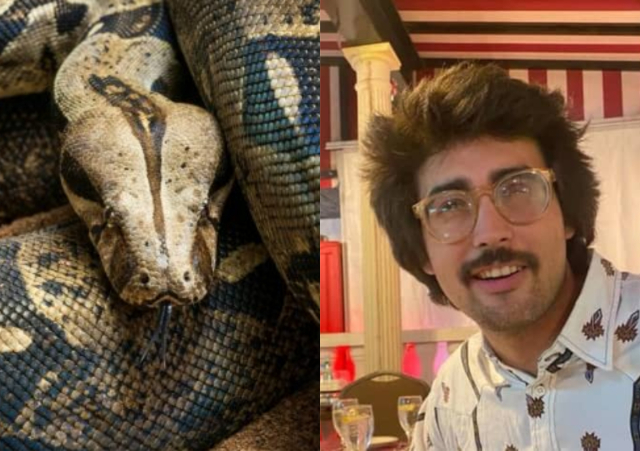 27-year-old Man dies after being strangled by his 18-foot pet boa constrictor