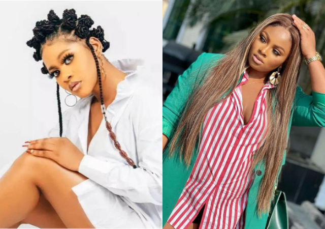 “Phyna is annoyingly loud, I was already bored from my season of ‘who dey’”- BBNaija’s Tega laments [Video]