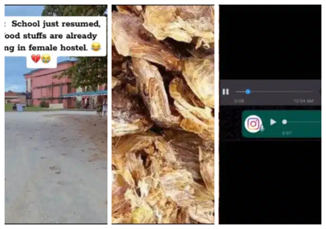 “Omo this is serious” - Reactions as lady cries out as her stockfish goes missing in female hostel