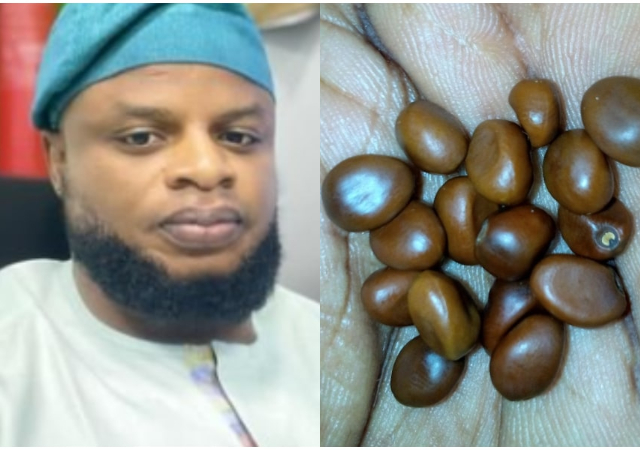 “Who knows what it is?” – Man sparks debate online as he shares photo of an unknown seed found in late uncle’s bag