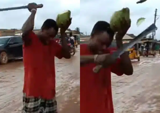 Reactions as man shows off unique talent as he skillfully cuts coconut on his head with a machete without looking