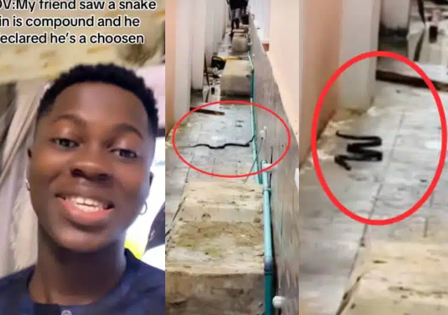 Nigeria man causes stir as he boldly drives snake out of his compound, declaring “I am chosen”