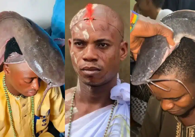 Video trends online as herbalist places live catfish on clients’ heads