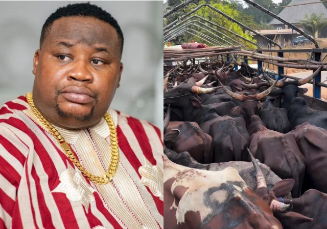 “Akpi still dey prison" - Cubana Chief Priest faces backlash after gifting 47 cows to friend for mum’s burial